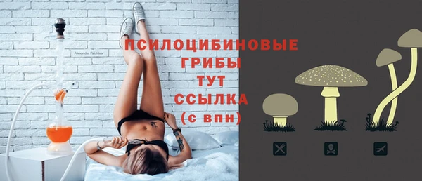 мескалин Бородино
