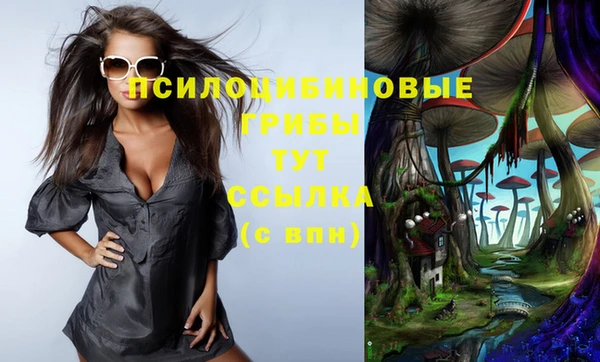 мескалин Бородино