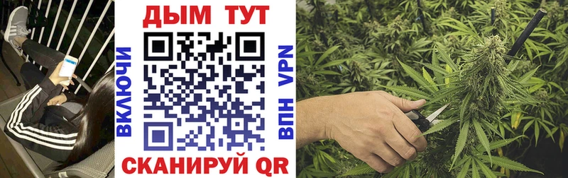 Бошки Шишки OG Kush  Купить закладки  Лаишево 